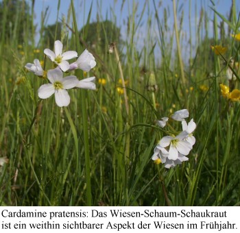 eichwe03.jpg (43813 Byte)